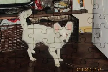 Tango Zorro