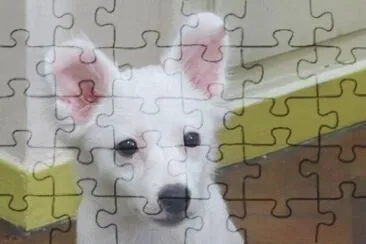 Tango lindo