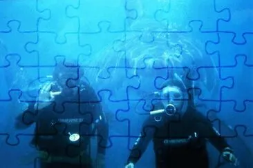 just the moment jigsaw puzzle