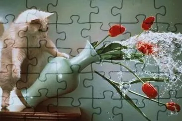 פאזל של just the moment