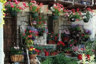 flores jigsaw puzzle
