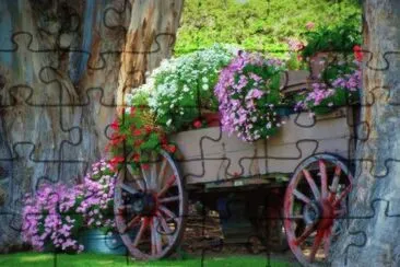 carroÃ§a jigsaw puzzle
