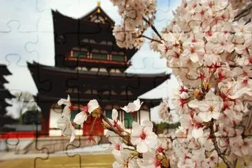 Cherry Tree in front of a Temple