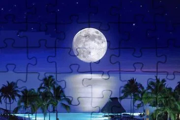 noche de luna jigsaw puzzle