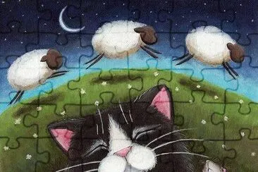 gatinho
