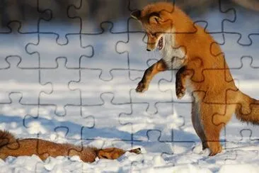 winter jigsaw puzzle