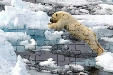 winter jigsaw puzzle