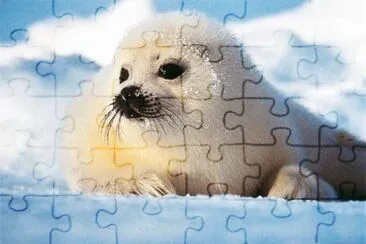 winter jigsaw puzzle