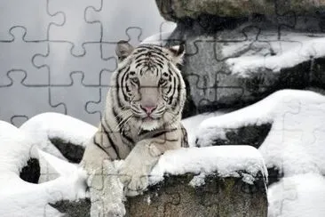 winter jigsaw puzzle