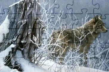winter
