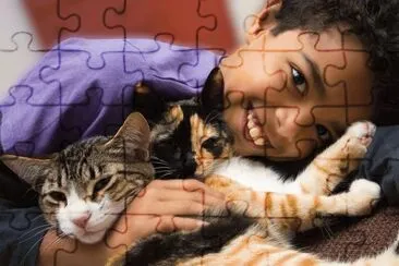 dani con los gatos jigsaw puzzle