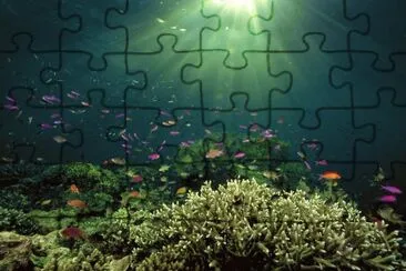 flora marina jigsaw puzzle