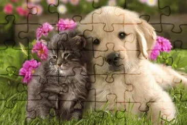 Friends for ever