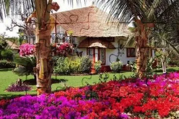 Jardim de casa com coqueiros jigsaw puzzle