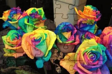Rainbow Roses jigsaw puzzle