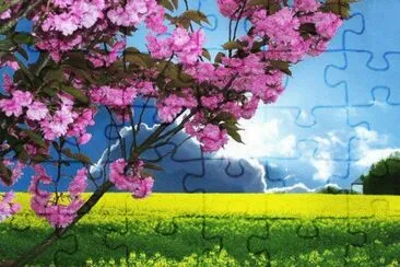 natureza