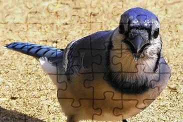 . jigsaw puzzle
