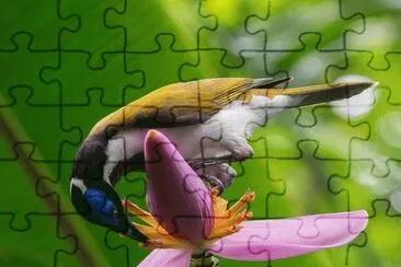 . jigsaw puzzle