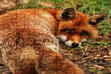 . jigsaw puzzle