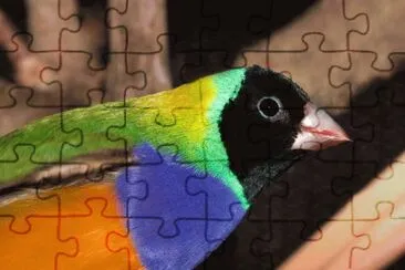 . jigsaw puzzle
