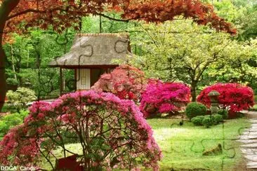casa jigsaw puzzle