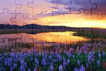 Camas Prairie at Sunset  Idaho  Usa