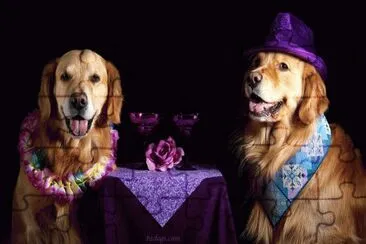 פאזל של Celebrating Party Dogs