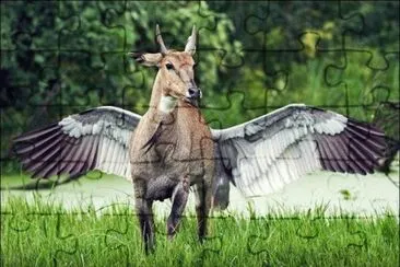 p jigsaw puzzle