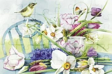 Spring