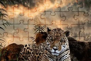 פאזל של leopardo.jpg