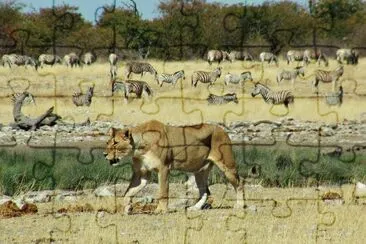 Etosha Namibia jigsaw puzzle