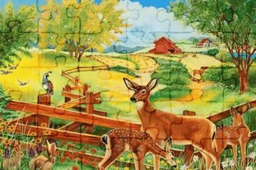 Wild Life