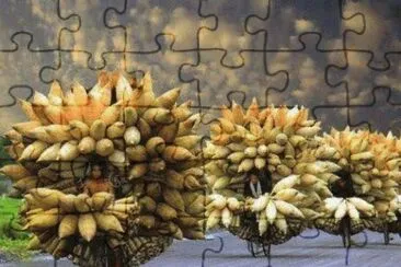 curiositÃ  jigsaw puzzle