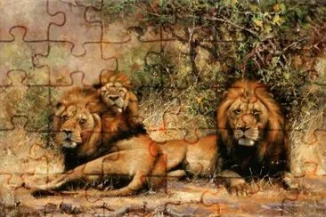 leones reposando