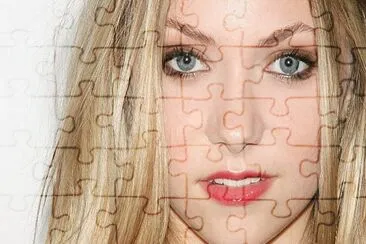  jigsaw puzzle