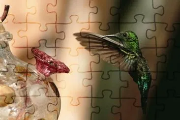 animales