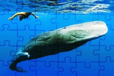 animales jigsaw puzzle