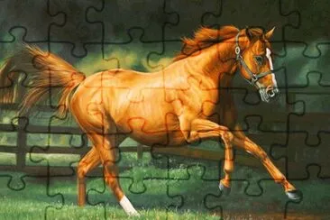 Pintura