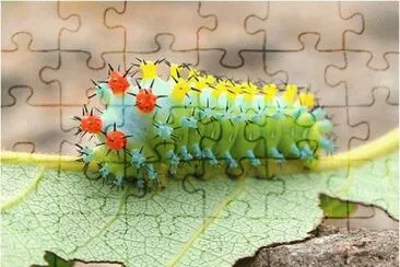 b3 jigsaw puzzle