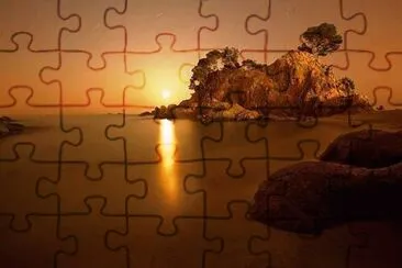 c1 jigsaw puzzle