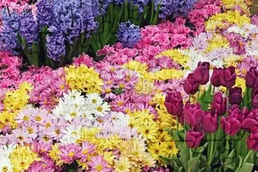 flor jigsaw puzzle