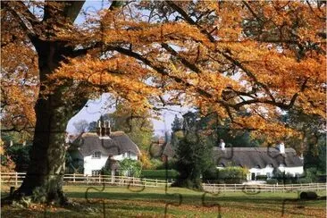 Country House  UK jigsaw puzzle