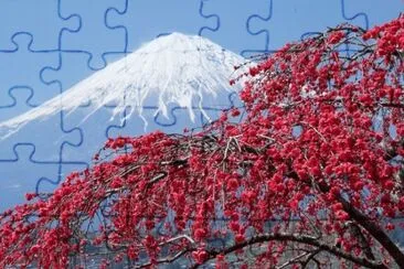 Mount Fuji  Japan jigsaw puzzle
