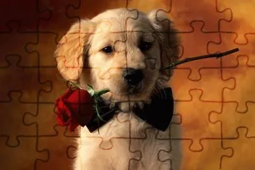 Seductor jigsaw puzzle