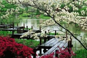 lago jigsaw puzzle