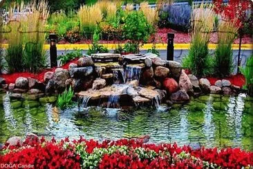 lago