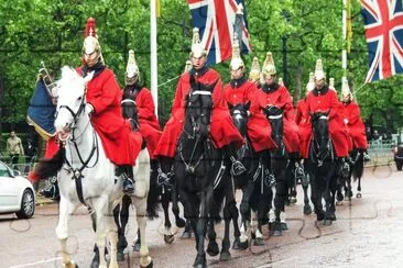 Palace Guards jigsaw puzzle