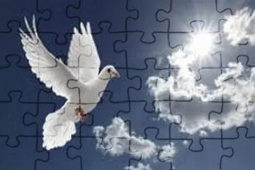 PAZ jigsaw puzzle