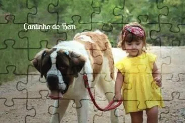 amizade jigsaw puzzle