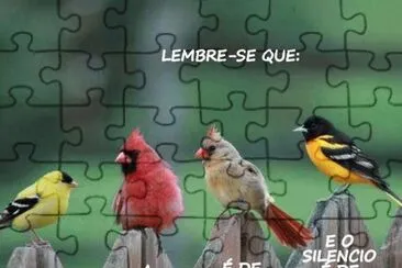 amigos